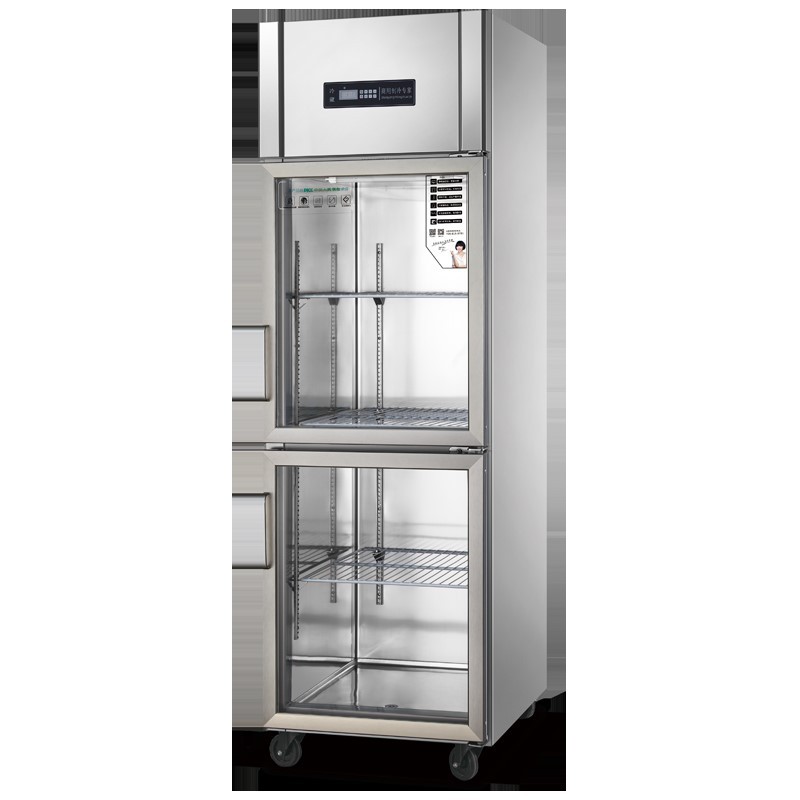 two display door refrigerator 